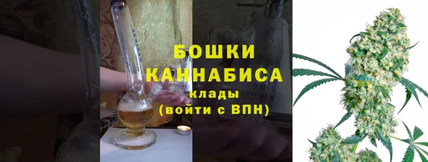 трава Гусиноозёрск