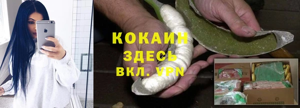 ГАЛЛЮЦИНОГЕННЫЕ ГРИБЫ Горняк