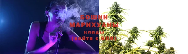 mdpv Горно-Алтайск