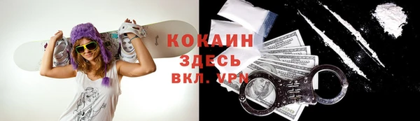 ГАЛЛЮЦИНОГЕННЫЕ ГРИБЫ Горняк