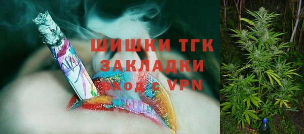 ГАЛЛЮЦИНОГЕННЫЕ ГРИБЫ Горняк