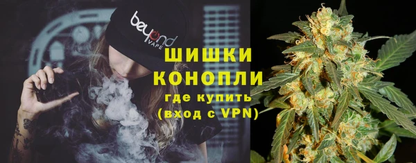 ГАЛЛЮЦИНОГЕННЫЕ ГРИБЫ Горняк