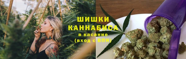 ГАЛЛЮЦИНОГЕННЫЕ ГРИБЫ Горняк