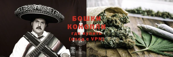 ГАЛЛЮЦИНОГЕННЫЕ ГРИБЫ Горняк