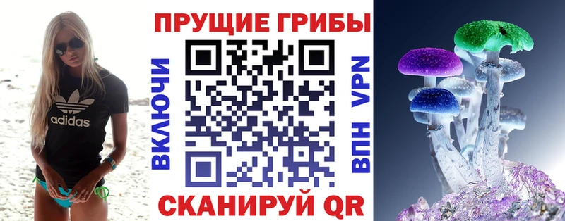 гидра tor  Дудинка  Галлюциногенные грибы GOLDEN TEACHER 